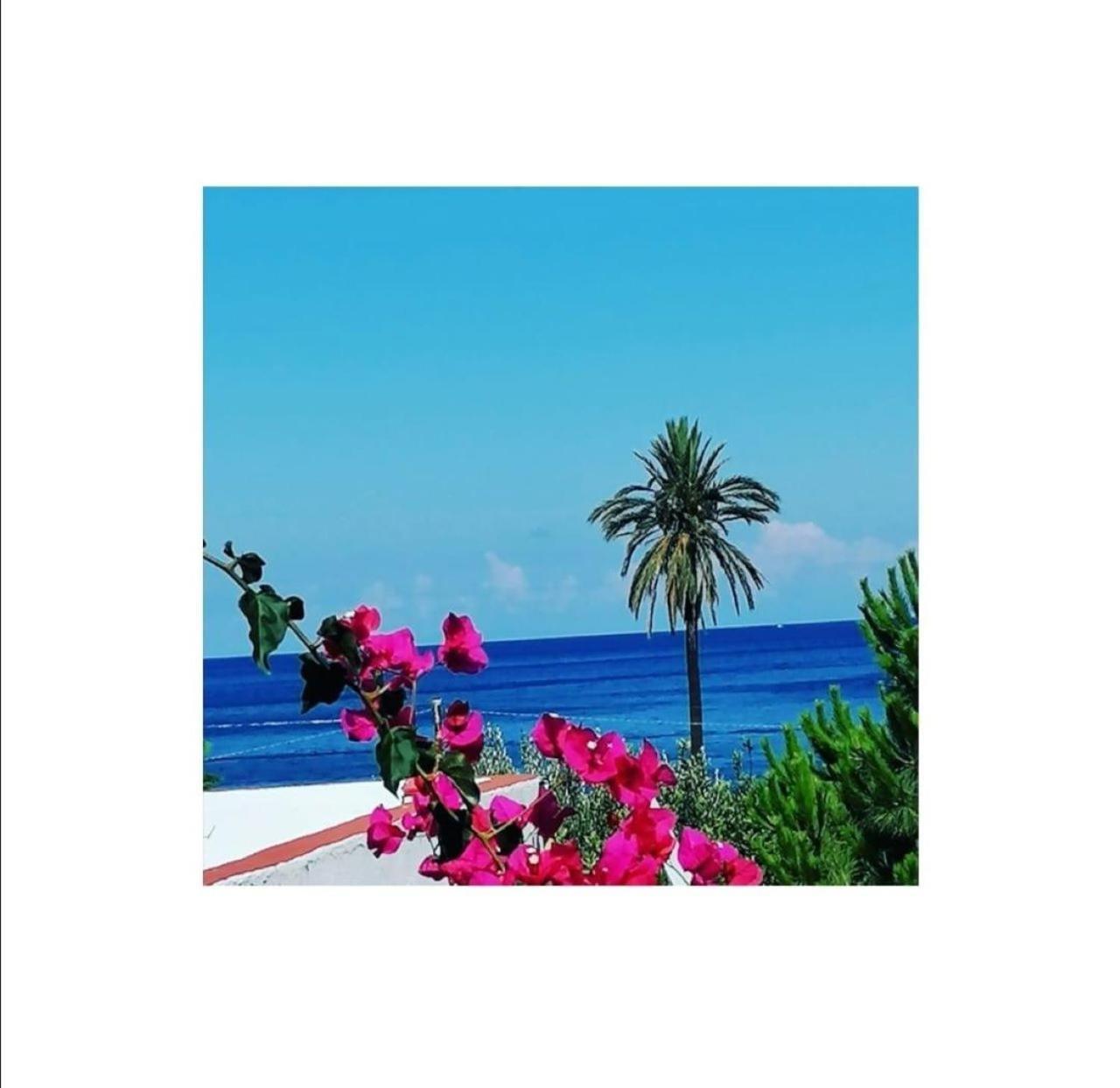 Bed and Breakfast Villino Miraglia Lingua Esterno foto