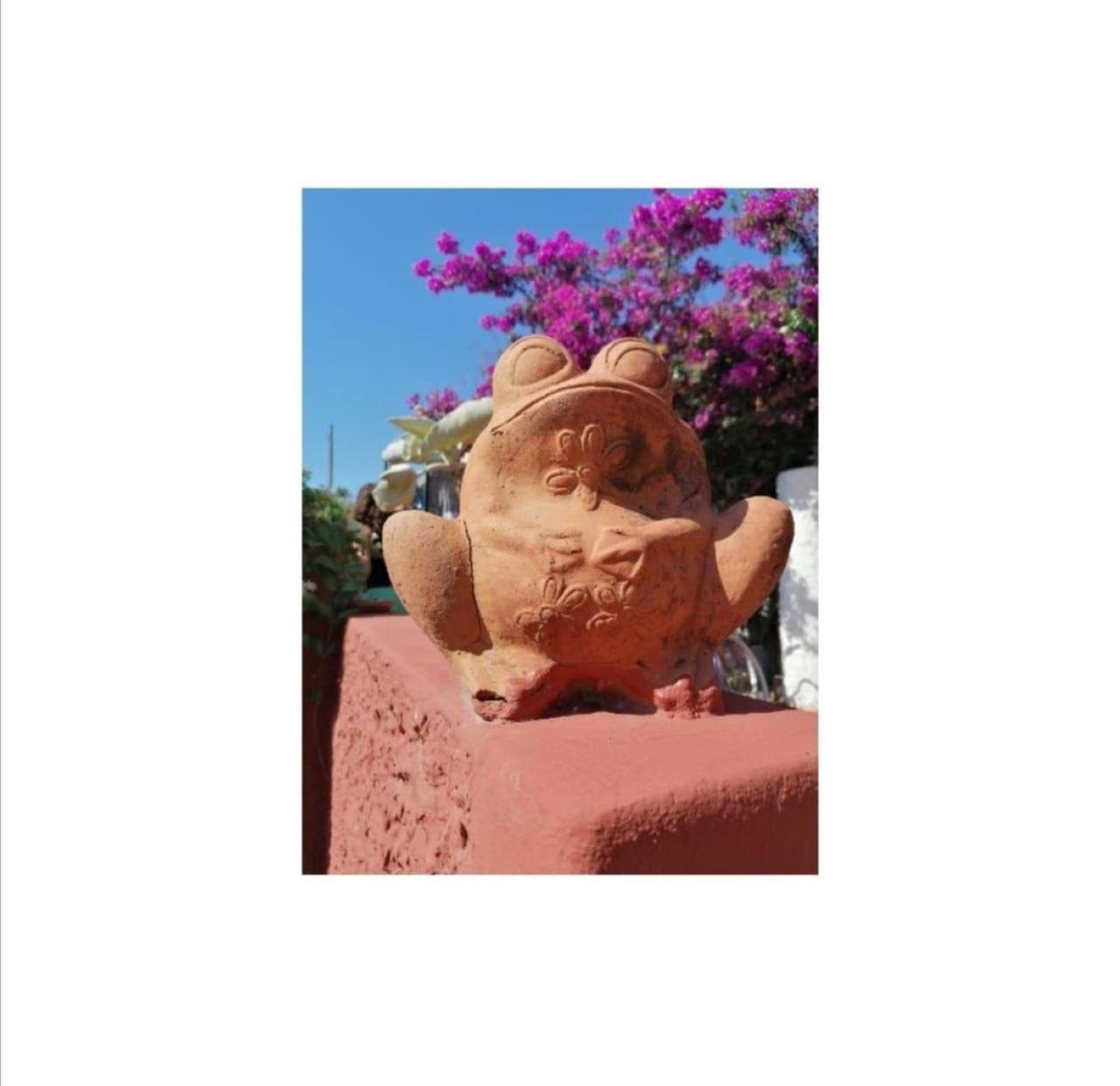 Bed and Breakfast Villino Miraglia Lingua Esterno foto