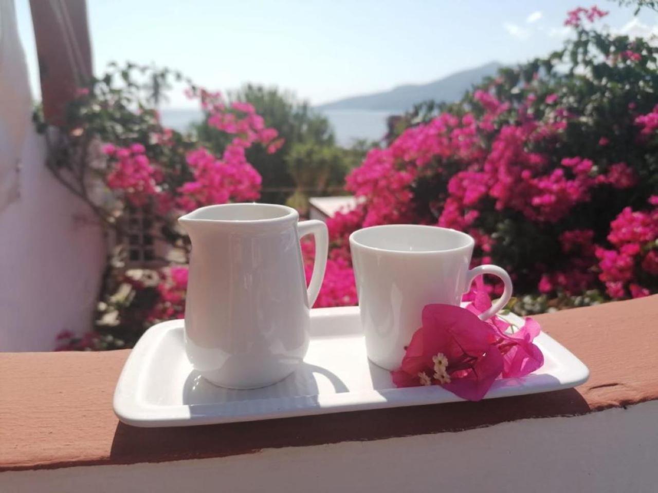 Bed and Breakfast Villino Miraglia Lingua Esterno foto