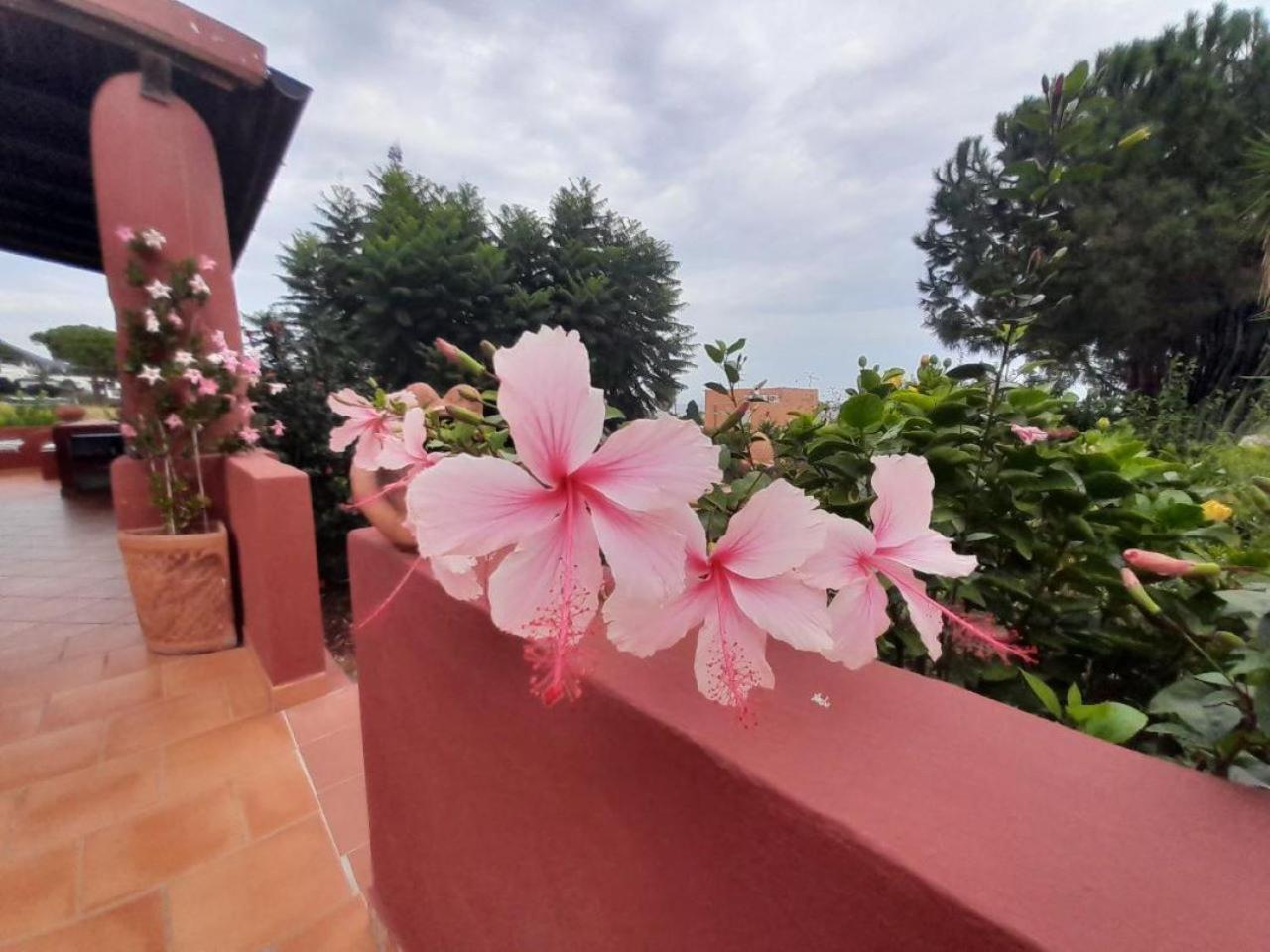 Bed and Breakfast Villino Miraglia Lingua Esterno foto